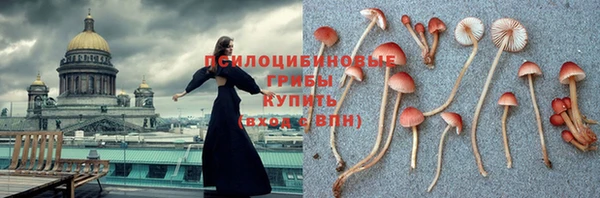 соль ск Алексин
