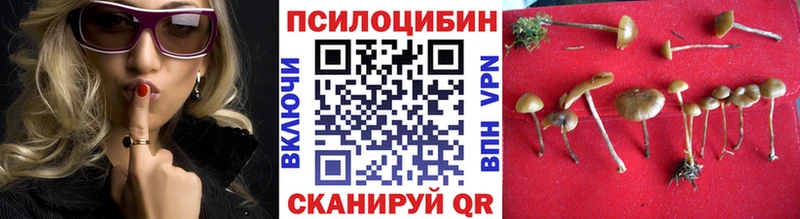 Галлюциногенные грибы мухоморы  хочу наркоту  Нестеров 
