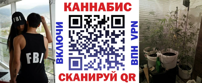 где купить   Нестеров  MEGA маркетплейс  Марихуана план 